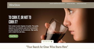 20個簡約的電子商務網(wǎng)站設(shè)計