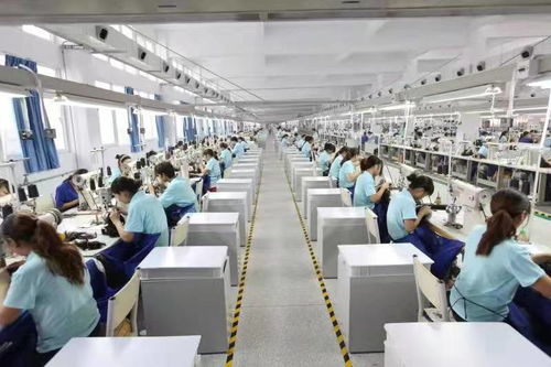 9個月營收10.5億,假發(fā)巨頭瑞貝卡持續(xù)發(fā)力線上